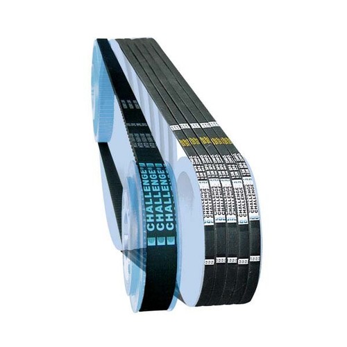 C59 chall cinture a - cinture,
